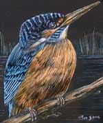 Kingfisher Scraperfoil