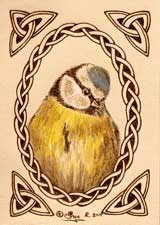 Blue Tit Leather ACEO Artwork