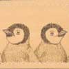 Emperor Penguin Chicks Comb Case