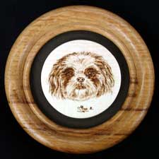 Shih Tzu Framed Miniature