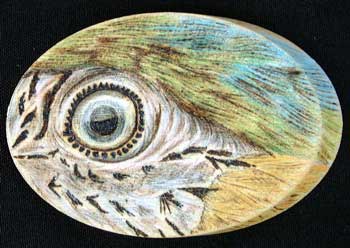 Blue Macaw Eye Wooden Brooch