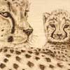 Cheetah & Cub Pyrography Detail