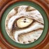 Lynx Eye Framed Pyrography