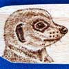 Meerkat Letter Opener