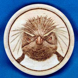 Rockhopper Penguin Coaster