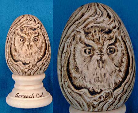 Egg-ceptional Screech Owl